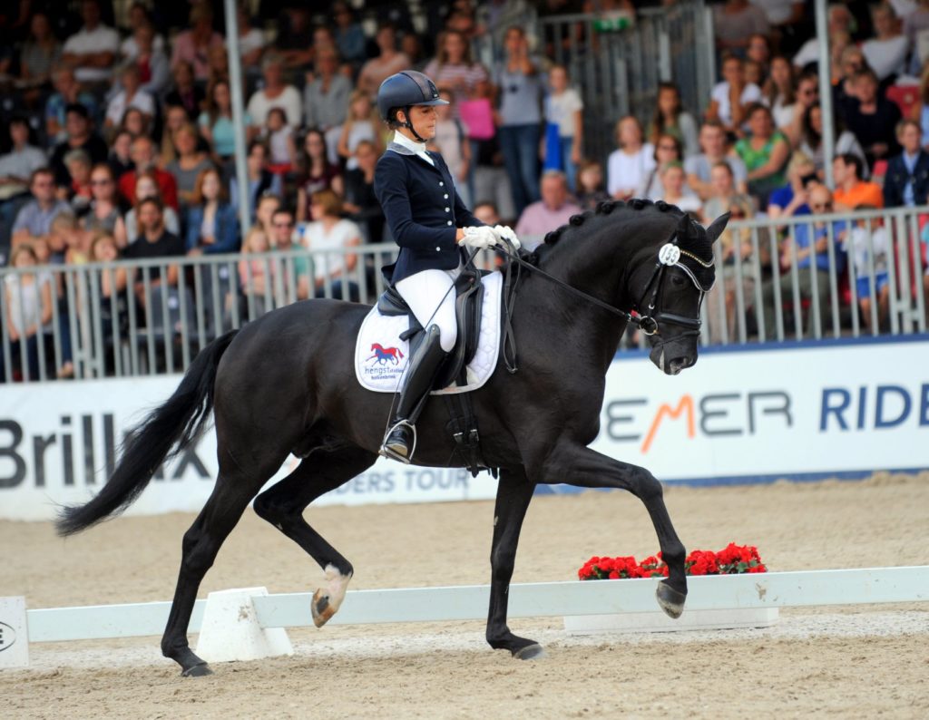 Vize Bundeschampion Fashion in Black Hengststation Holkenbrink