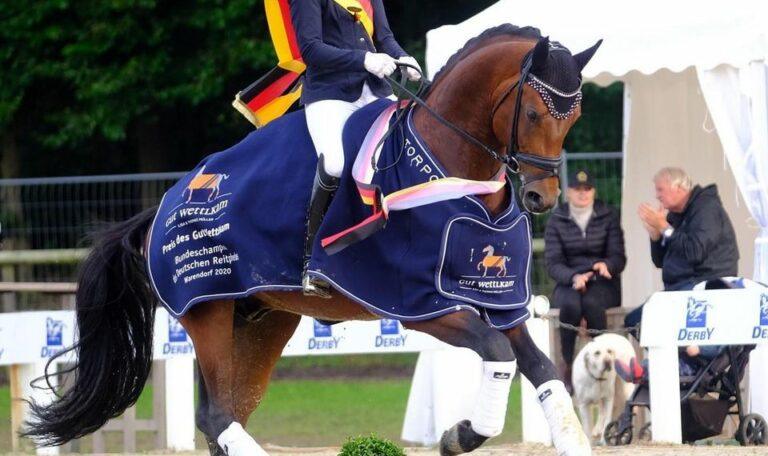 Bundeschampion 2020