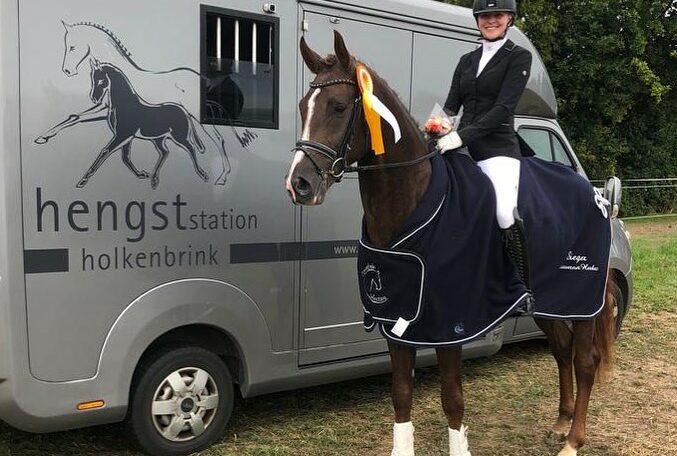 Vandenberg Hengst von Viva Gold x Rock Forever