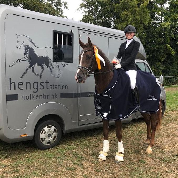 Vandenberg Hengst von Viva Gold x Rock Forever